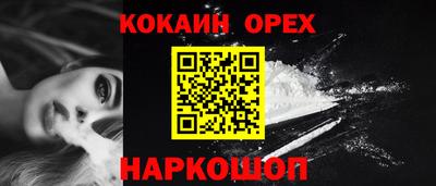 стафф Донецк