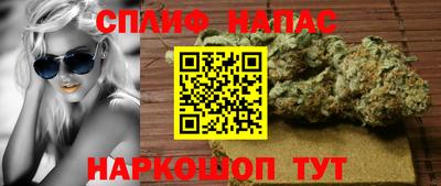 стафф Донецк