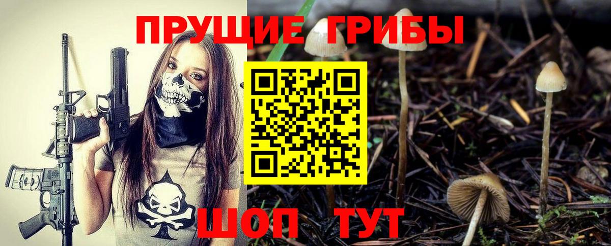 Галлюциногенные грибы мицелий Бутурлиновка