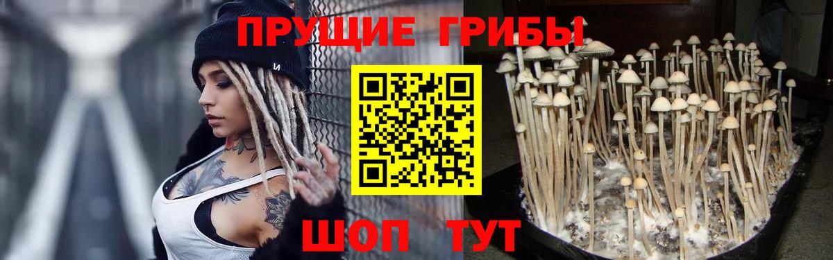 Галлюциногенные грибы Psilocybine cubensis  где продают   Бутурлиновка  Вход с VPN 